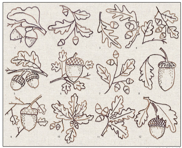 9 - ACORNS & OAKS - PDF DOWNLOAD
